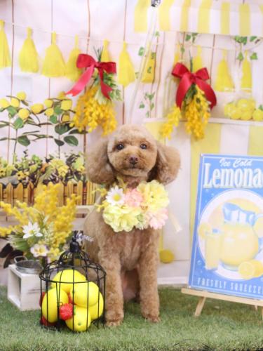 20240430モカちゃん